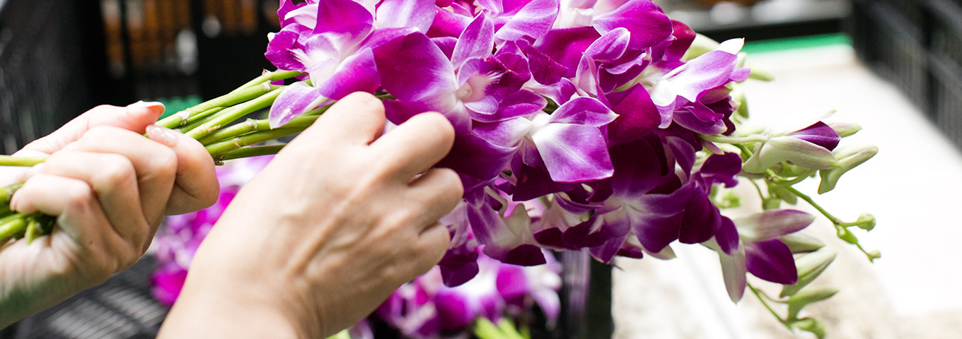 クレバーについて