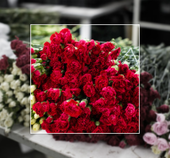 鮮度への追求 最高品質