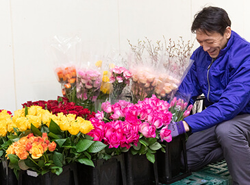 新しい花の色、デザインを吟味