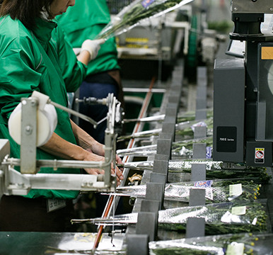 大量発注に迅速対応