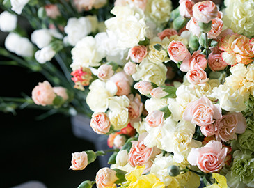 イベント企画に連動した