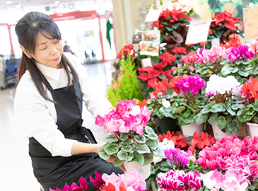 商品ディスプレイを作る