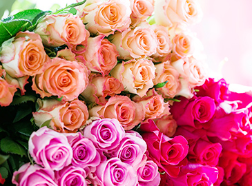 みずみずしく華やかに