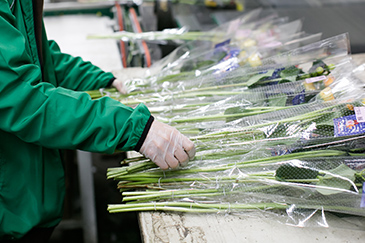 定期的な納品供給