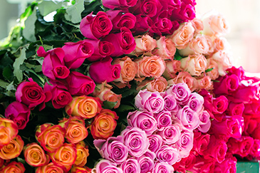 AM 7:00～PM 1:30 次店舗へ向かう