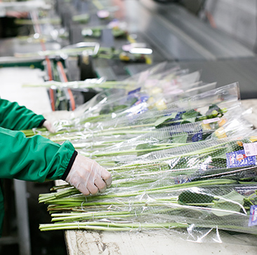 薬剤・商品提案